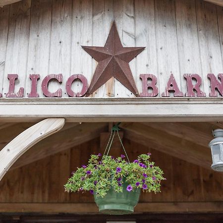 Хостел Calico Barn Widdrington Екстер'єр фото
